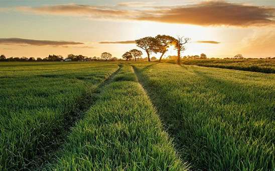 河南省委书记王国生pa旗舰厅官网调研